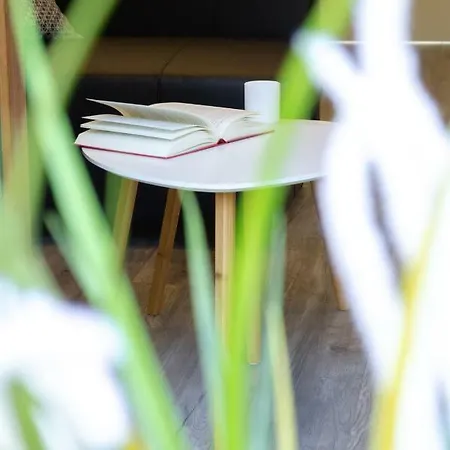 Misko Kopos * Palanga